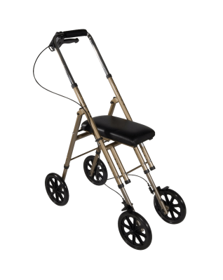 GoWISE USA GW22051 Dijital Tansiyon Ölçüm Cihazı